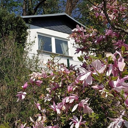 Das Ferienhaus Mit Aussicht Pirna Eksteriør billede