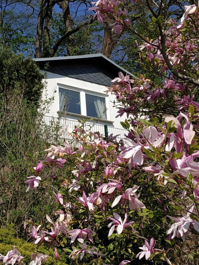 Das Ferienhaus Mit Aussicht Pirna Eksteriør billede