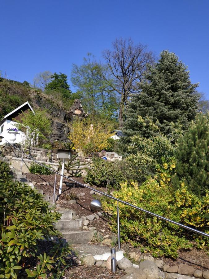 Das Ferienhaus Mit Aussicht Pirna Eksteriør billede